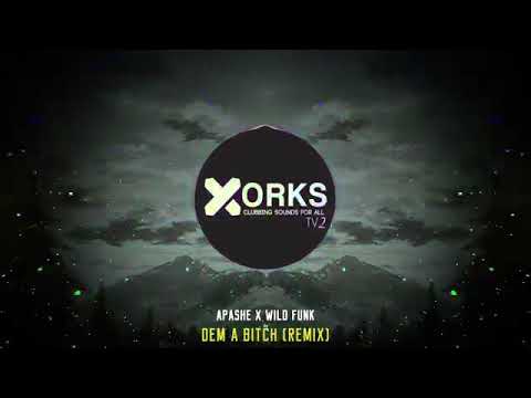 Apashe x Wild Funk   Dem A Bitch Remix360p