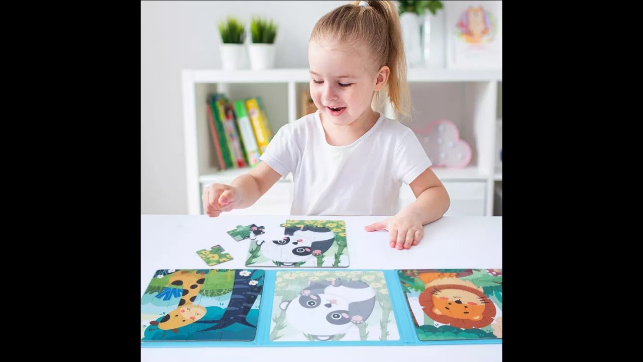 Duoqu Magnetic Kids Jigsaw Puzzles - Different Levels