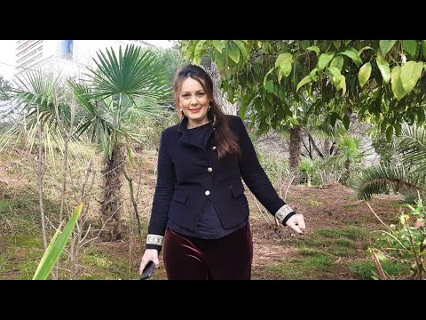 Vitrina e librit/ Prilli i hidhur - 27 Shkurt 2022