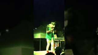 Alemán - Perro Callejero