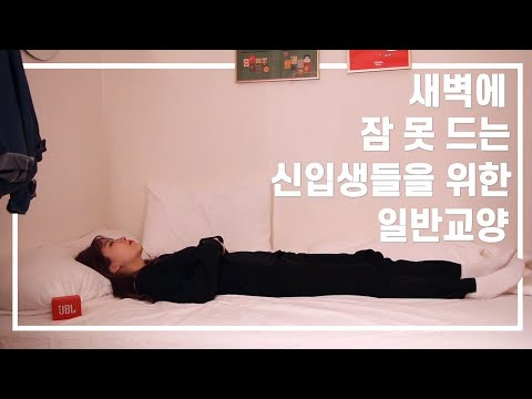 새벽에 잠 못 드는 신입생들을 위한 동국대학교 일반교양 추천🌠