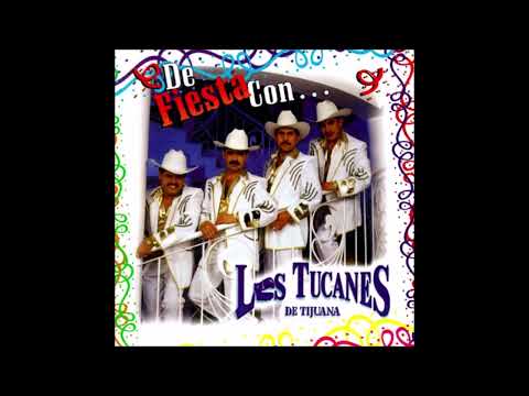 Los Tucanes De Tijuana - Ando Bien Arreglado (Remix)