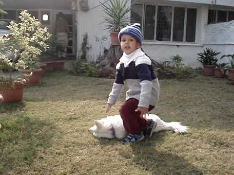 2009 10 10 Zulkifl Salman Rahim Baby Playing with Dog PAKISTAN