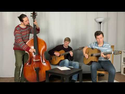 Lotusblatt - Diknu Schneeberger Trio