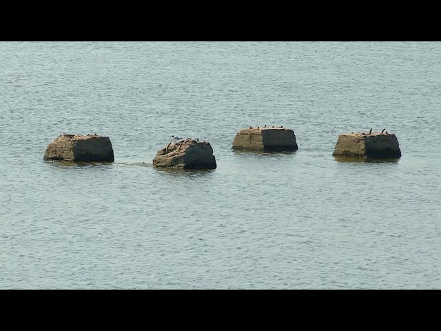 Еловский пруд обмелел