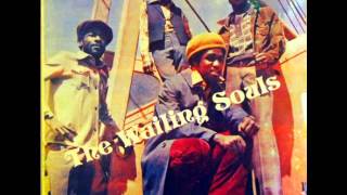 The Wailing Souls - Got To Be Cool