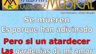 Dos Gardenias   Maria Rita   Karaoke