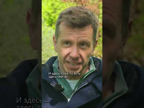 Правители не могут вечно жить