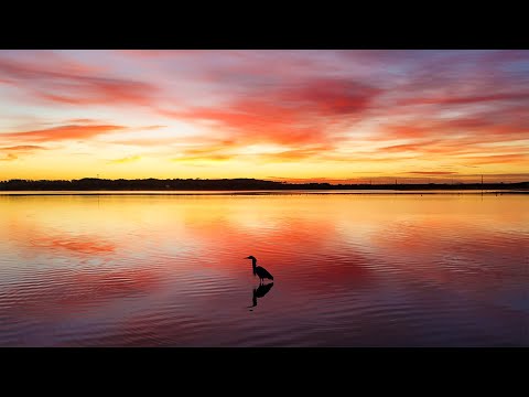 Laguna de José Ignacio, Laguna Garzón, Faro José Ignacio, Maldonado, Uruguay.