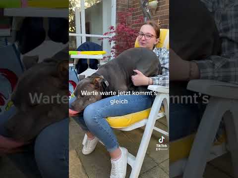 Jetzt pups ich dir mal ins Gesicht