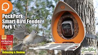 I Tried the PeckPerk Smart Bird Feeder… Here’s My Thoughts