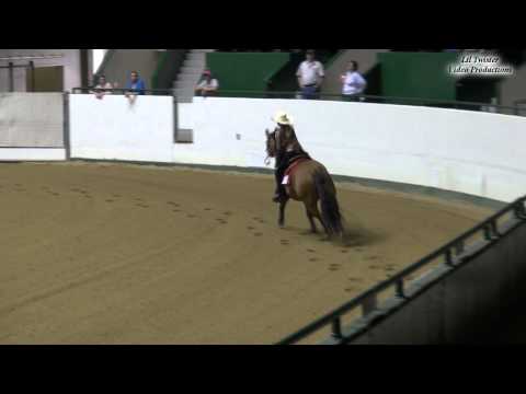 07-19-2014 Alexa Lovejoy & Special Juice - NRHA Youth Reining