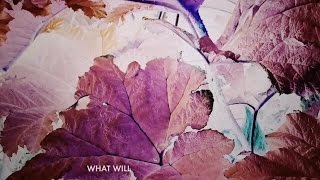 José González - What Will (Lyric Video)