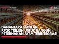 Danantara Siapkan Rp20 Triliun Untuk Bangun Peternakan Ayam Terintegrasi MARKET HIGHLIGHTS