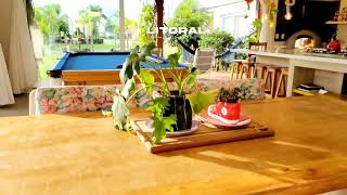 Vídeo 58 — Casa em Condomínio 4 dormitórios no bairro Sea Coast