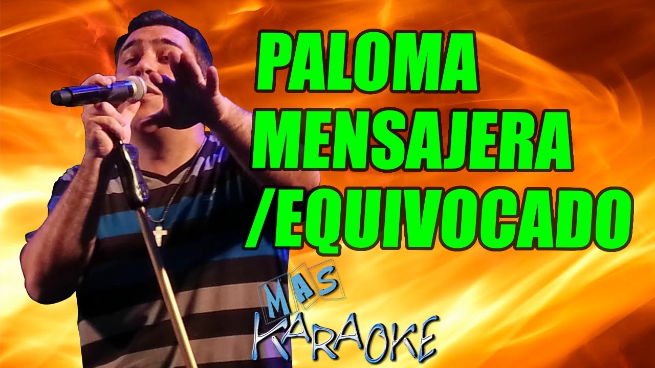 PALOMA MENSAJERA / EQUIVOCADO