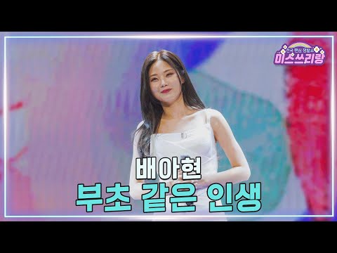 [클린버전] 배아현 - 부초 같은 인생 ♥️미스쓰리랑 46회♥️ TV CHOSUN 250326 방송