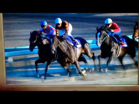 【有馬記念】2016.12.25 サトノダイヤモンド