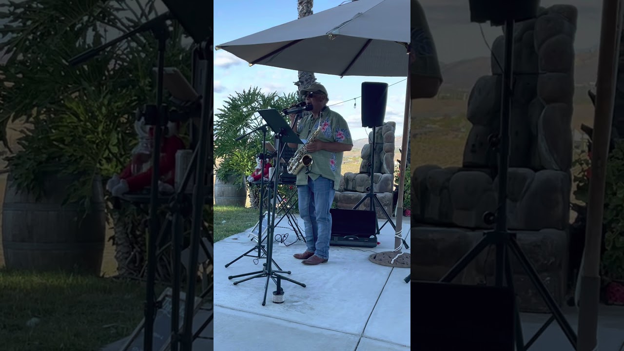 Promotional video thumbnail 4 for Tony Merlo, Elegant Sax & Vocals