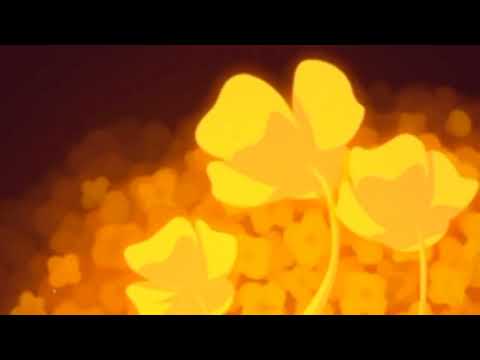 Undertale Yellow: Fever Pitch (Dishwasher Safe Mix) ( slowed & reverse)