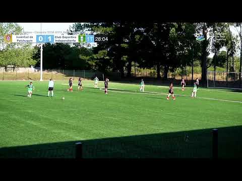 En vivo | Día 3 - Finales ANFA Mariquina Clausura 2025