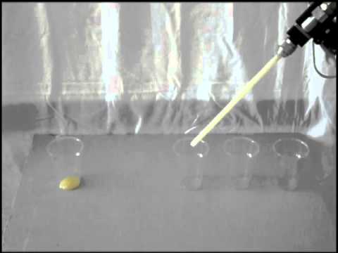 20. MC Presentation / Presentazione MC