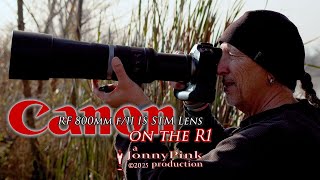 Canon R1 and RF 800mm f-11 IS STM Lens at Sepulveda - yup, one of my favorite lenses!!