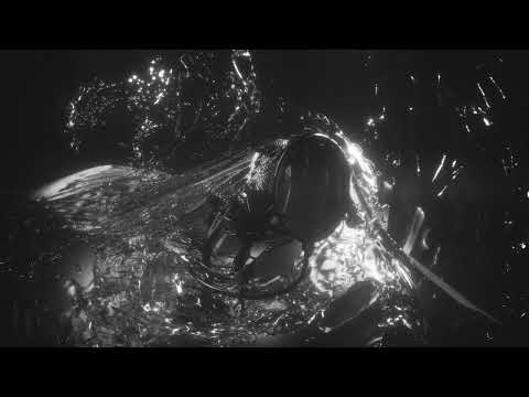 Chef Bi & Phobia  - All In (Prod. by Wass'up)