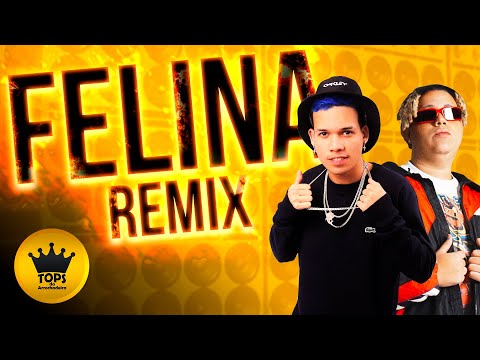 Felina (Arrochadeira Remix) - O Tubarão e WIU (Tops da Arrochadeira)