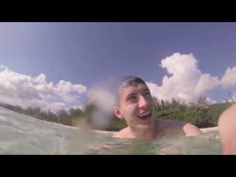 Gastrojan +230 (VIDEO)