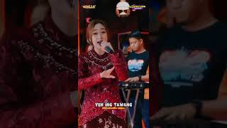 Download lagu Yen Ing Tawang - Fira Azzahra Adella ||OM ADELLA #dangdut #adella #music #firaazzahra #shorts #fyp mp3