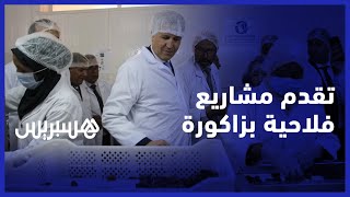 صديقي يتفقد مشاريع فلاحية بزاكورة وتقدم إنجاز الاستراتيجية الجديدة “الجيل الأخضر” thumbnail