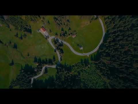 Wass Albert -  Az igazit keresed