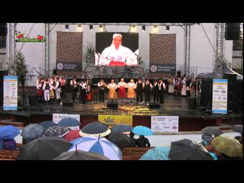 Rusínsky festival 2015 - Svidník (záznam z priameho prenosu)
