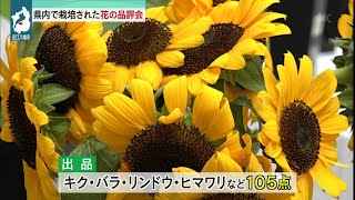 ８月10日 【びわ湖放送ニュース】