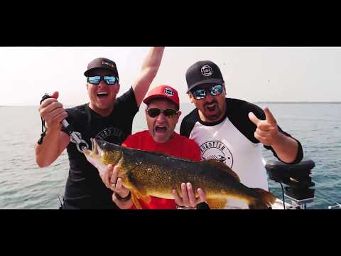 ROADFISH "Trip Mashup" 2017