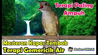 Download lagu MASTERAN KAPAS TEMBAK GEMERICIK AIR MENGALIR JERNIH - MASTERAN SEGALA JENIS BURUNG LOMBA mp3