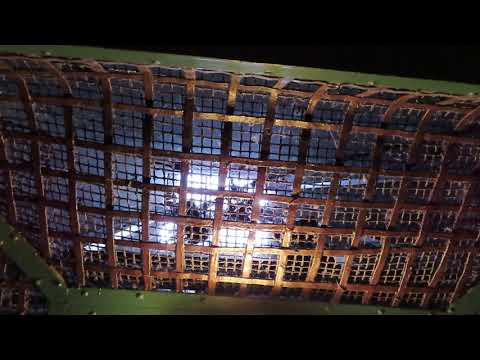 Vintage Otis Traction elevator @ Hotel Mithila - San Francisco, CA.