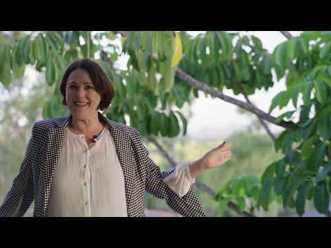 11 Barty Close, Brassall, QLD 4305, 4 slaapkamers, 2 badkamers, House