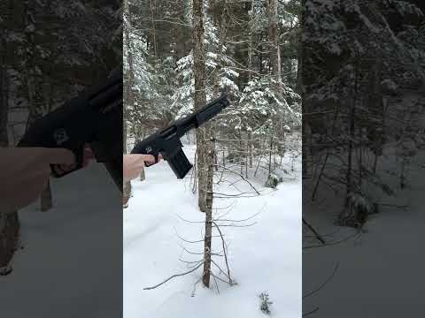 Pump Box Shotgun - Charles Daly Honcho