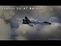 Sukhoi SU 47 Berkut Crazy Experimental Fighter Plane