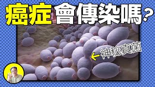 [問卦] 每個月$650看中醫 養生很盤嗎？