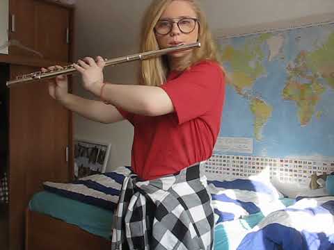 Luis Fonsi, Demi Lovato- Échame La Culpa (flute cover)