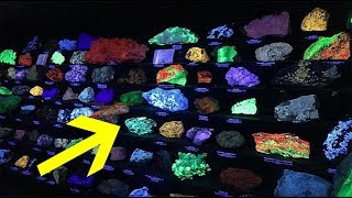 Miners Uncover A Stunning Underground Treasure Trove Full Of Bizarre Glowing Rocks