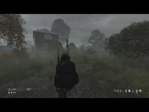 DayZ gas zone antidote vs blood infusion