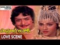 Samrat Ashok Movie NTR Vaniviswanath Superb Love Scene NTR Vani Viswanath Shalimarcinema