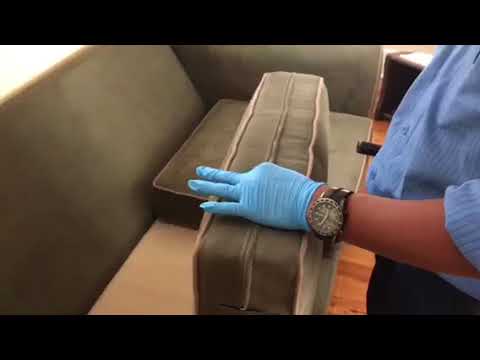 Bed Bugs Found in Cushion in Hazlet, NJ Home