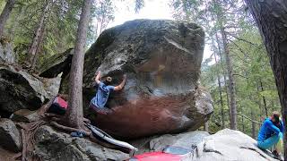 Video thumbnail of Octopussy, 8a. Magic Wood