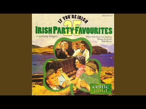 Jolly Ploughboy - Misc Irish