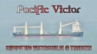 preview picture of video '16-03-2015 - Westerschelde - Terneuzen - Pacific Victor'